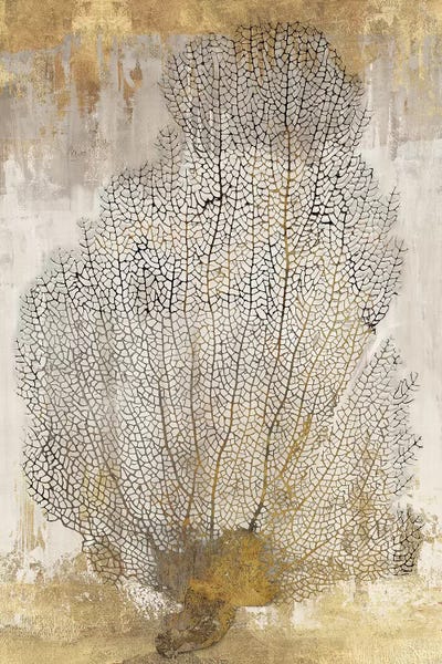 Aimee Wilson: Coral Splendor II by Aimee Wilson
