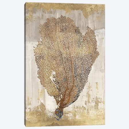 Coral Splendor III Canvas Print #AWI71} by Aimee Wilson Canvas Print