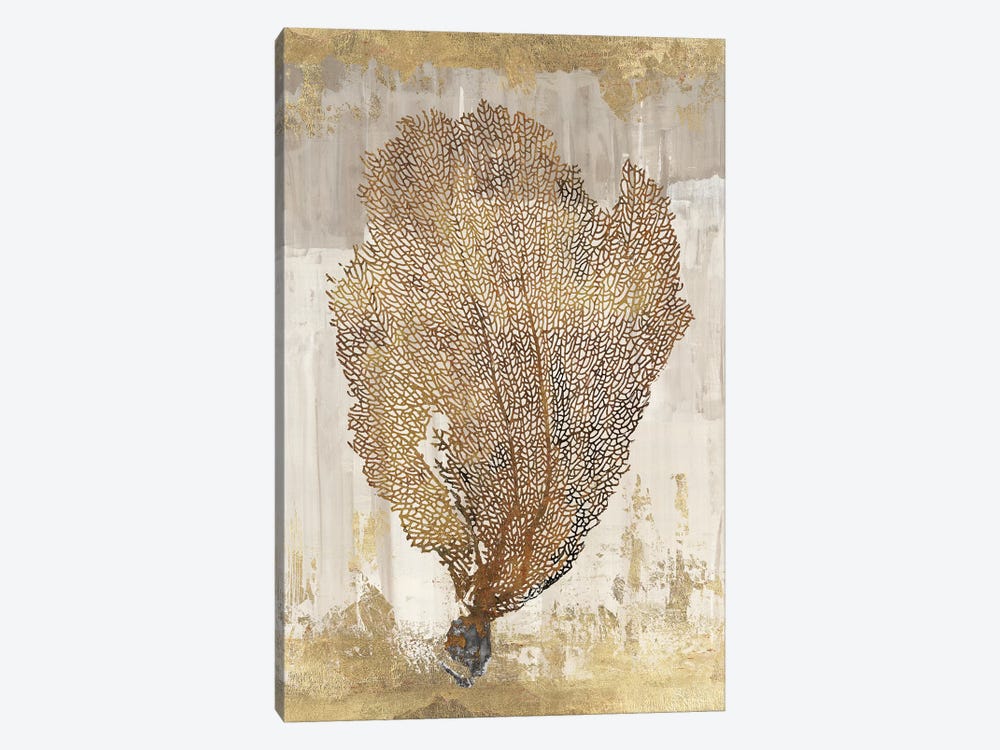 Coral Splendor III by Aimee Wilson 1-piece Canvas Artwork