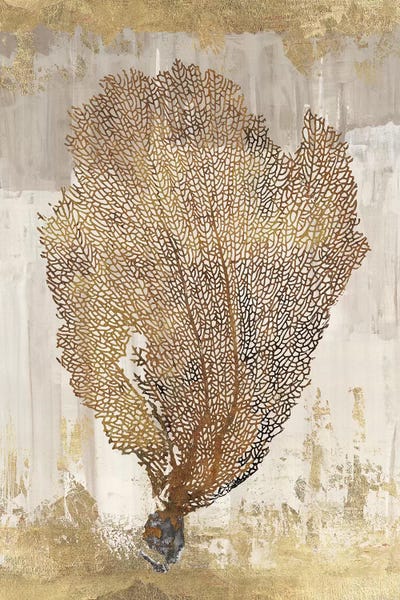 Aimee Wilson: Coral Splendor III by Aimee Wilson