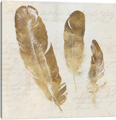 Feather Softly I Canvas Art Print - Feather Art