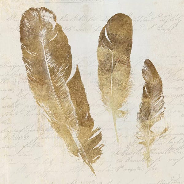 Feathers: Feather Softly I by Aimee Wilson