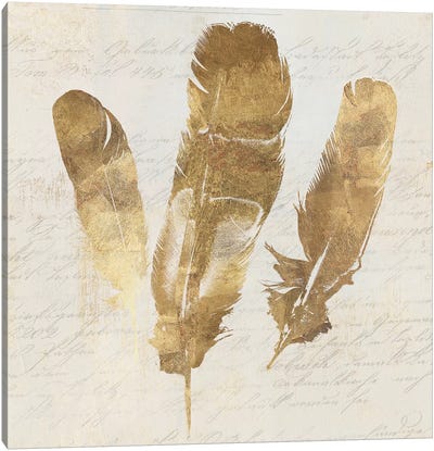 Feather Softly II Canvas Art Print - Aimee Wilson