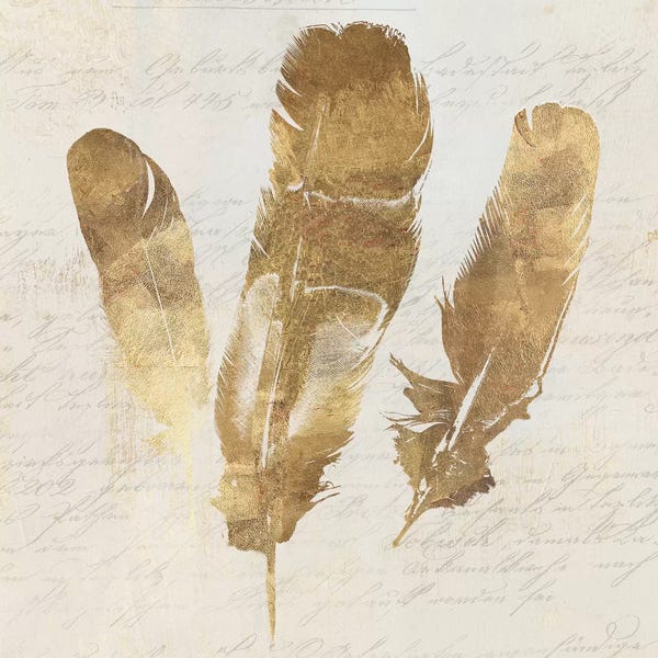 Aimee Wilson: Feather Softly II by Aimee Wilson
