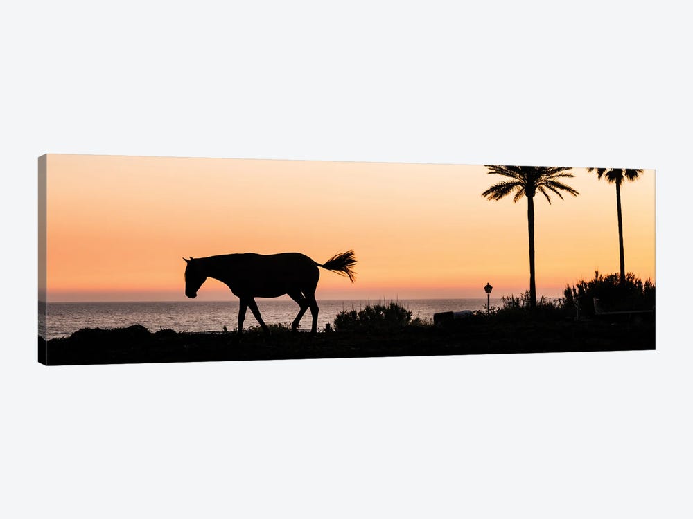 Horse and Palms by Andrew Lever 1-piece Canvas Art