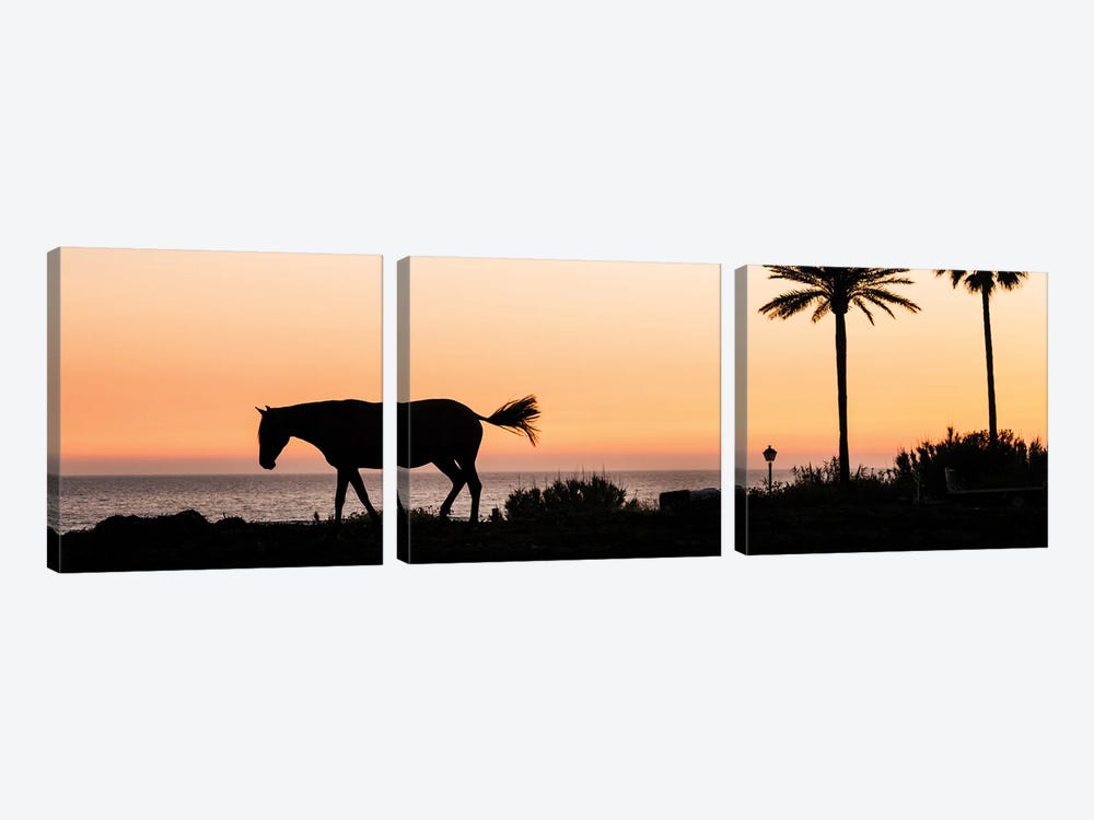 Horse and Palms by Andrew Lever 3-piece Canvas Art