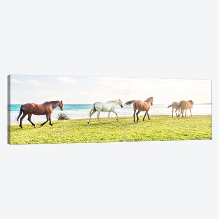 Beach Horses II Canvas Print #AWL116} by Andrew Lever Canvas Art Print