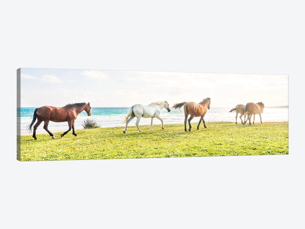 Beach Horses II by Andrew Lever 1-piece Canvas Print