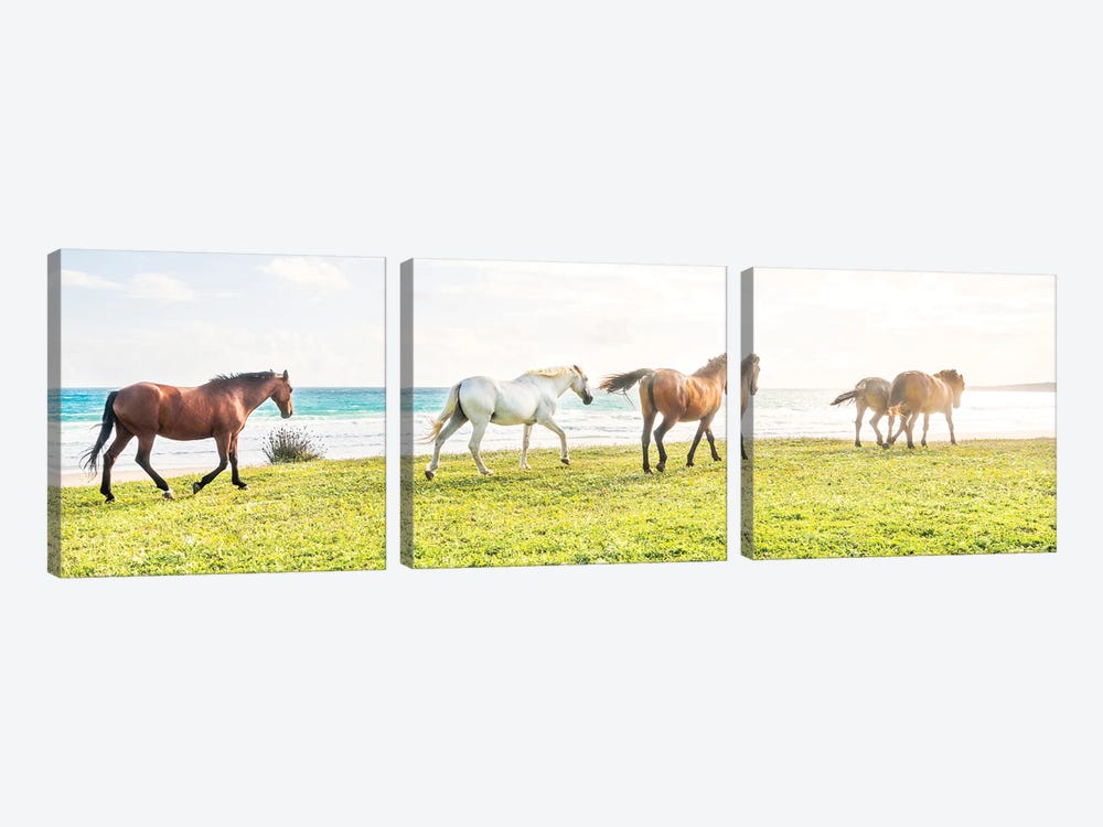 Beach Horses II by Andrew Lever 3-piece Art Print