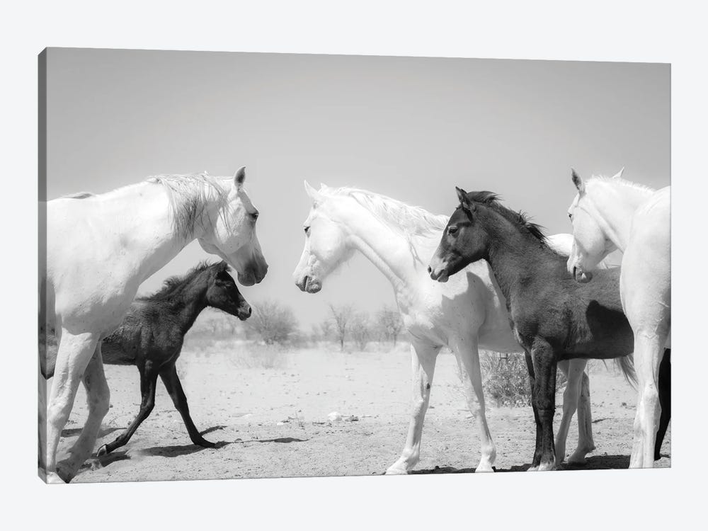 Arab Horse Family by Andrew Lever 1-piece Canvas Wall Art