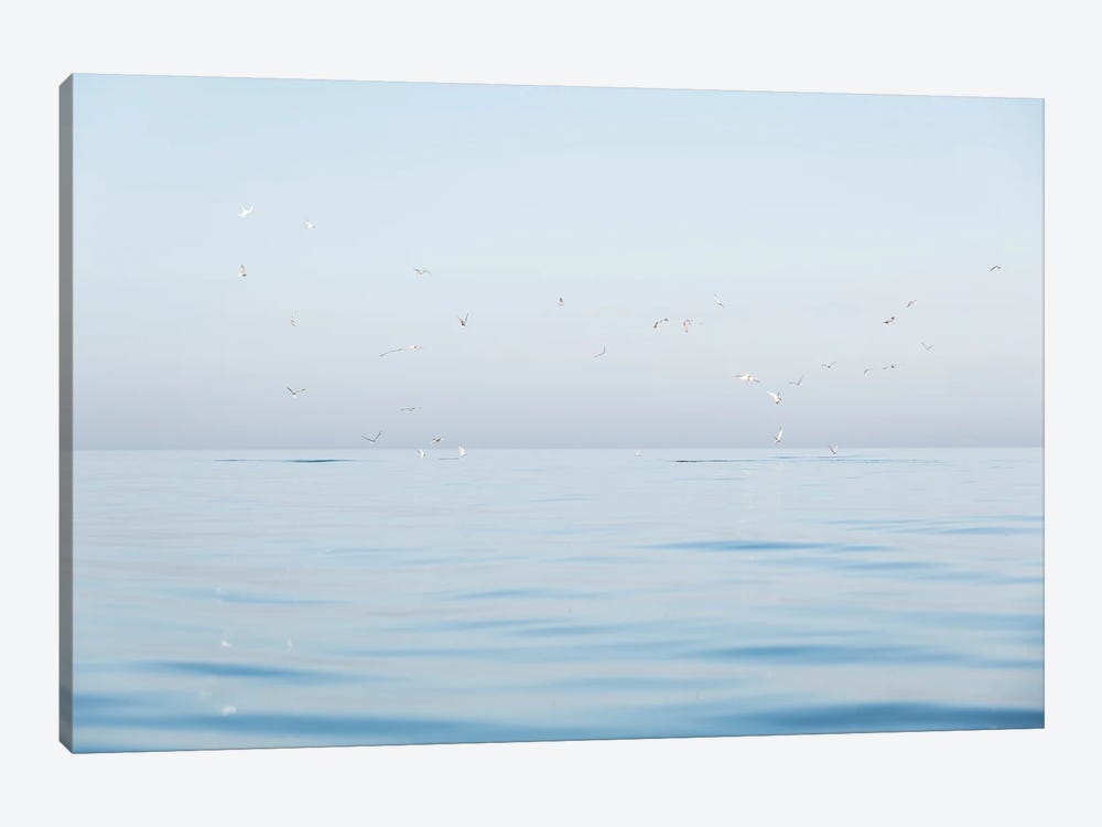 Seagulls At Sea by Andrew Lever 1-piece Canvas Print