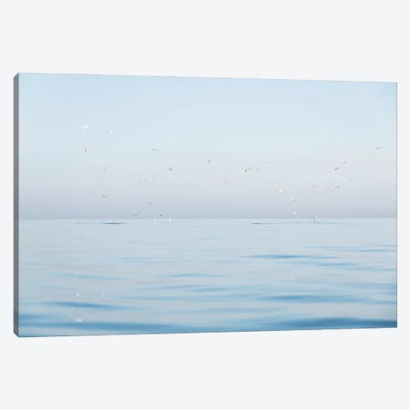Seagulls At Sea Canvas Print #AWL121} by Andrew Lever Canvas Print