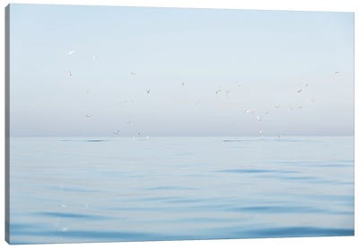 Seagulls At Sea Canvas Art Print - Andrew Lever