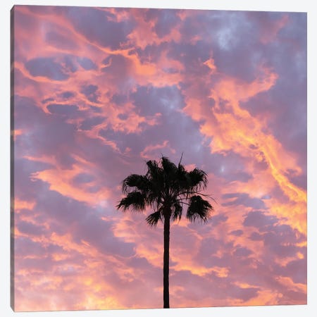 Paradise Palm Canvas Print #AWL124} by Andrew Lever Canvas Art