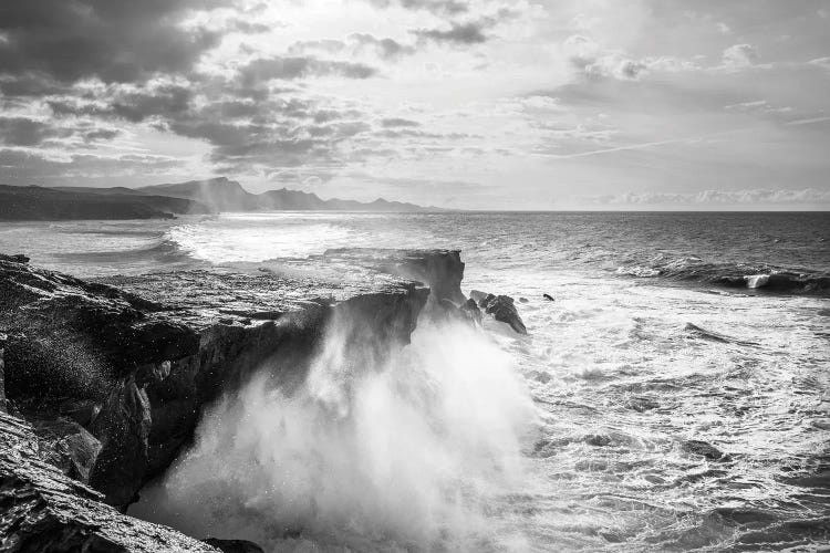 The Wild Coast by Andrew Lever wall art