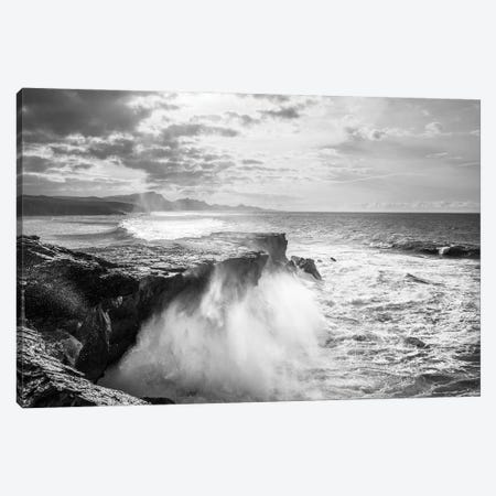 The Wild Coast Canvas Print #AWL128} by Andrew Lever Art Print