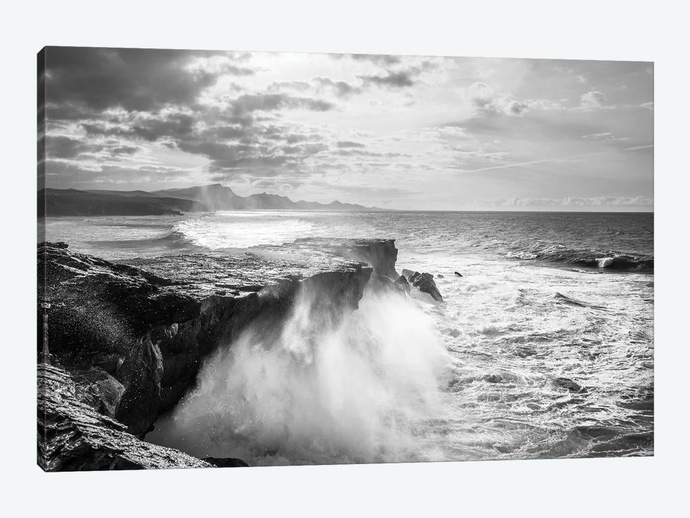 The Wild Coast by Andrew Lever 1-piece Canvas Artwork