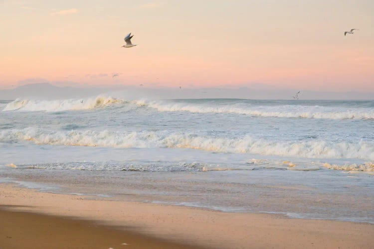 Seagulls And Surf