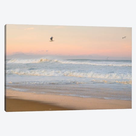 Seagulls And Surf Canvas Print #AWL133} by Andrew Lever Canvas Artwork