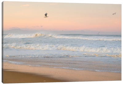 Seagulls And Surf Canvas Art Print - Andrew Lever