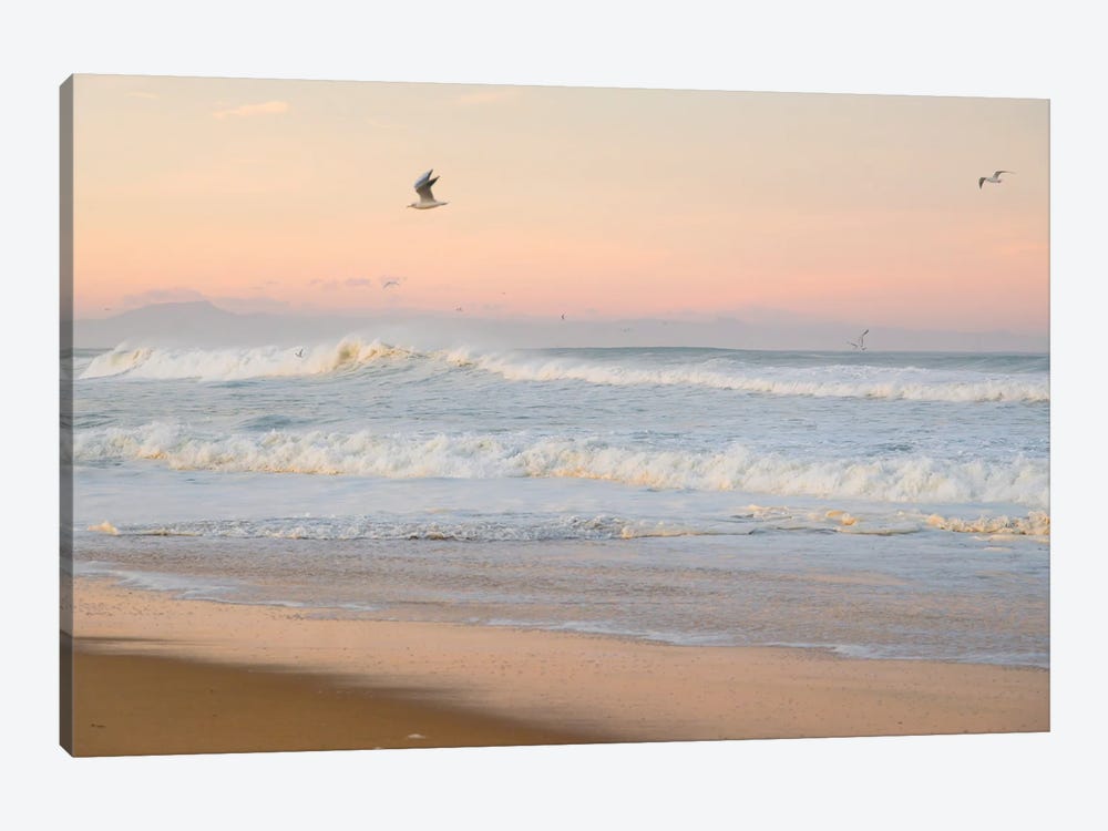 Seagulls And Surf by Andrew Lever 1-piece Canvas Art