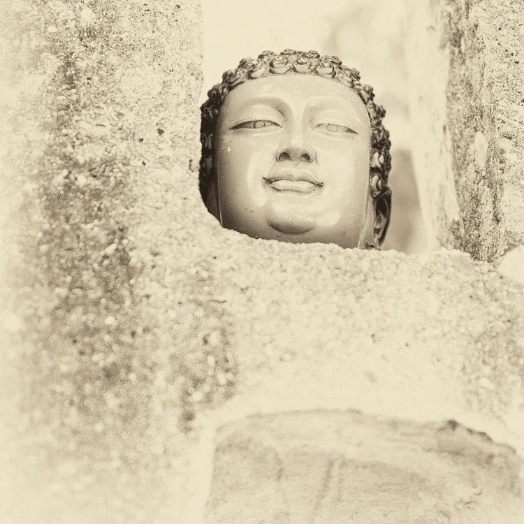 Buddha Head by Andrew Lever canvas print