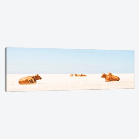 Sunbathing Cows Canvas Print #AWL29} by Andrew Lever Canvas Print