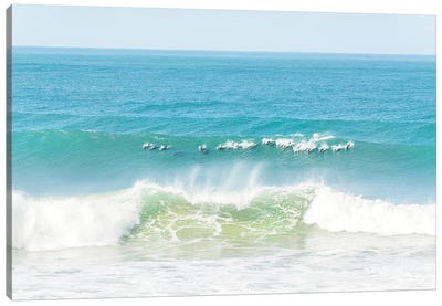 Dolphins Surfing Canvas Art Print - Andrew Lever