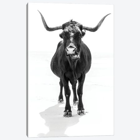 The Bull Canvas Print #AWL31} by Andrew Lever Canvas Artwork