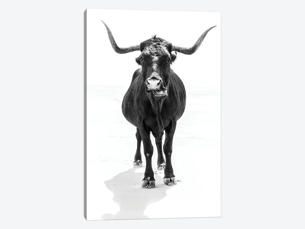 The Bull by Andrew Lever 1-piece Canvas Artwork