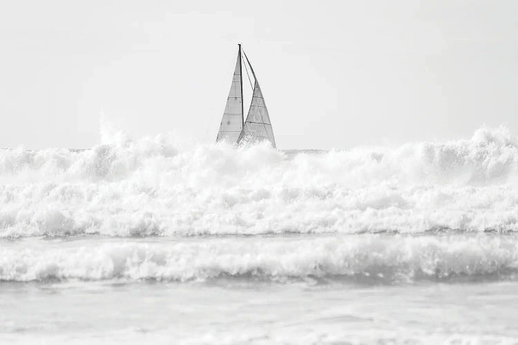 Sailing The Surf by Andrew Lever wall art