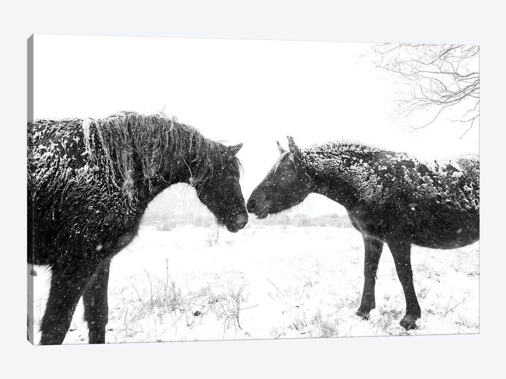 Snow Horses by Andrew Lever 1-piece Canvas Artwork