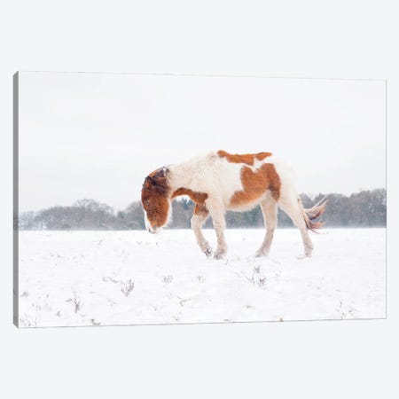 Journey In The Snow Canvas Print #AWL42} by Andrew Lever Art Print