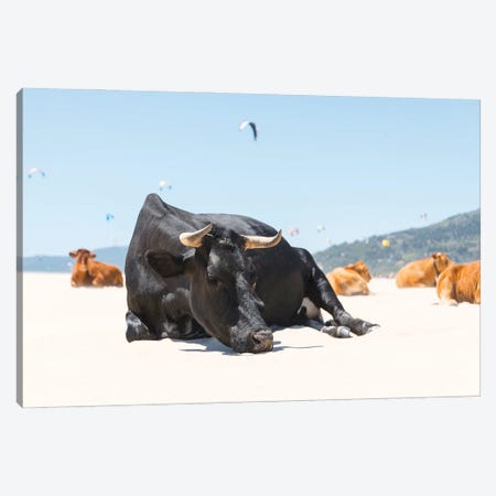 The Sleeping Bull Canvas Print #AWL49} by Andrew Lever Canvas Print