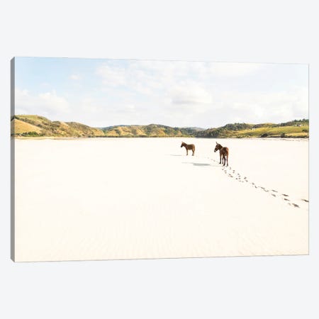 Beach Donkeys Canvas Print #AWL4} by Andrew Lever Canvas Art