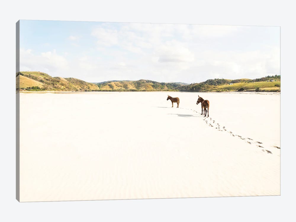 Beach Donkeys by Andrew Lever 1-piece Art Print