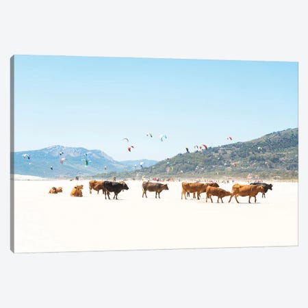 Beach Cows Canvas Print #AWL51} by Andrew Lever Canvas Art