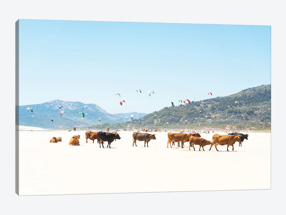 Beach Cows by Andrew Lever 1-piece Canvas Wall Art