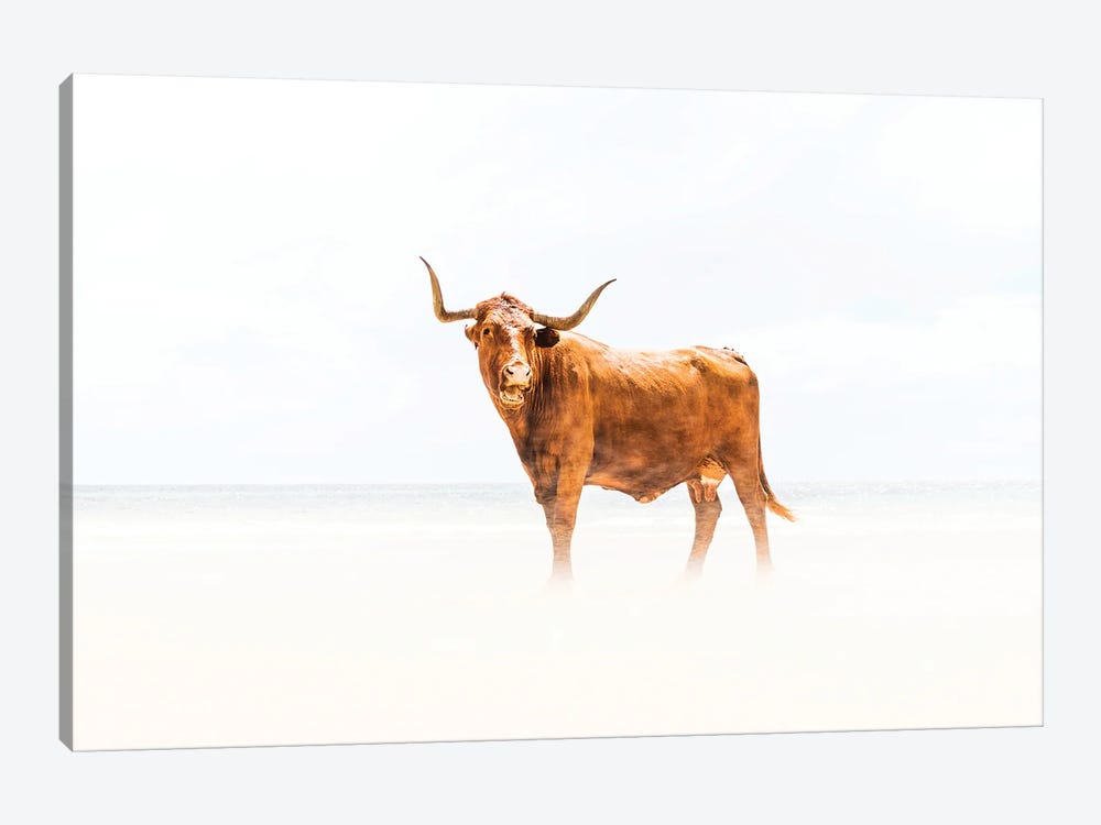 Beach Cow by Andrew Lever 1-piece Canvas Artwork