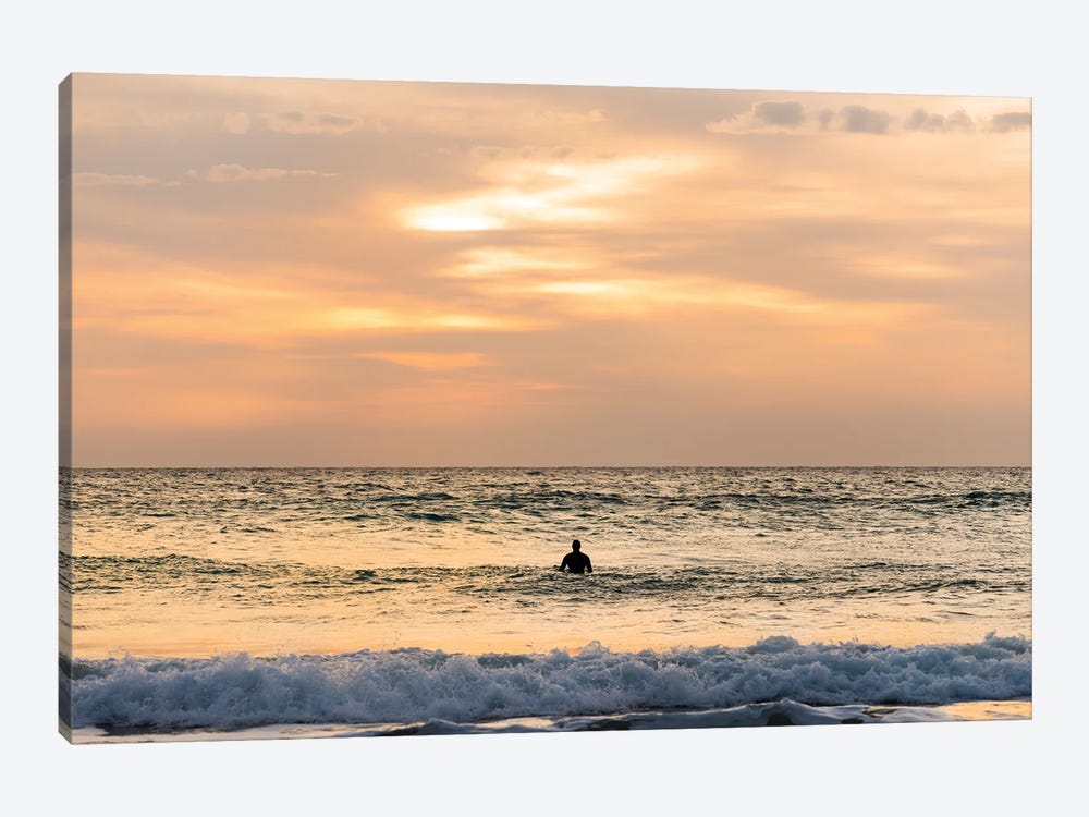 The Last Surf by Andrew Lever 1-piece Canvas Art