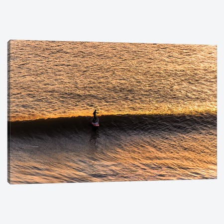 The Last Wave Canvas Print #AWL63} by Andrew Lever Art Print