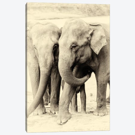 Togetherness Canvas Print #AWL69} by Andrew Lever Canvas Art Print