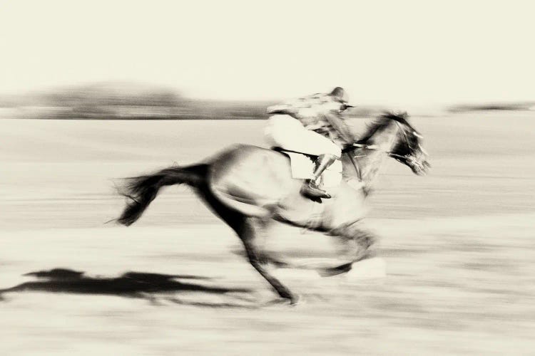 A Day At The Races II by Andrew Lever wall art