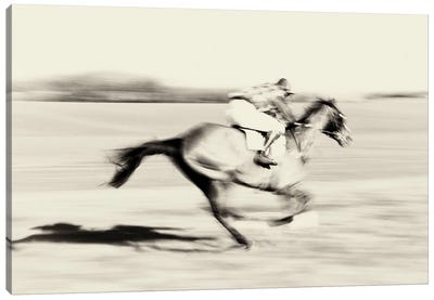 A Day At The Races II Canvas Art Print - Action Shot Photography