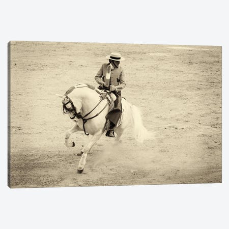 Spanish Horseman Canvas Print #AWL79} by Andrew Lever Canvas Artwork