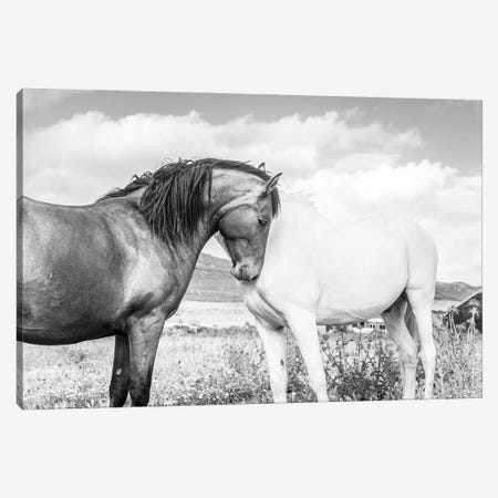 Together Canvas Print #AWL82} by Andrew Lever Canvas Print