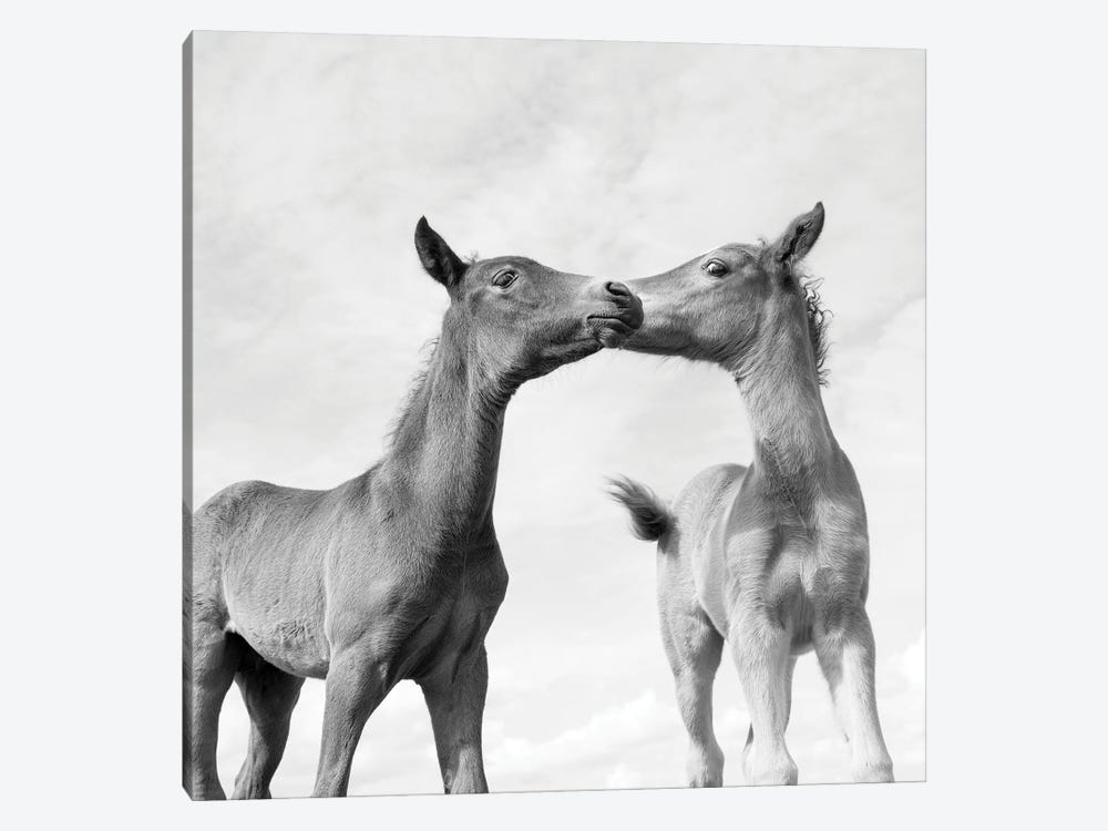 Making Friends by Andrew Lever 1-piece Canvas Artwork