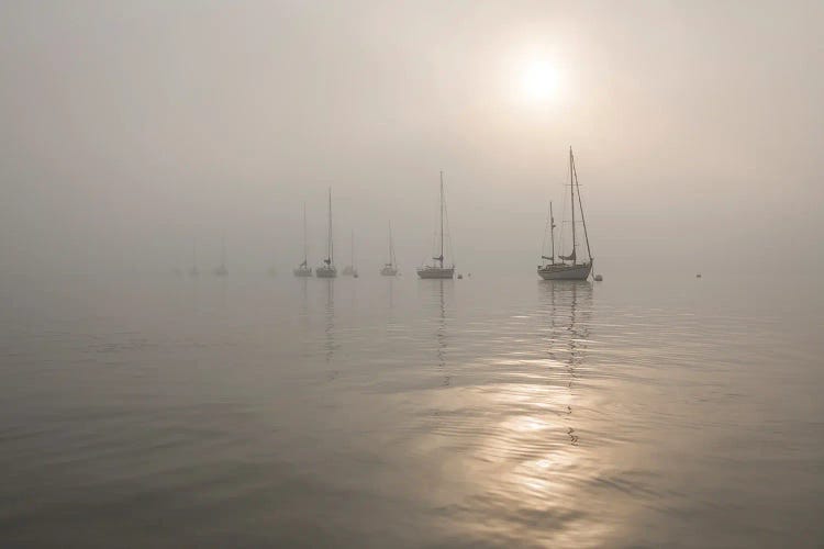 Boats In The Fog