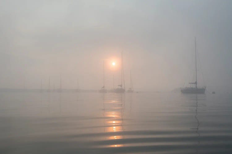 Boats In The Fog II