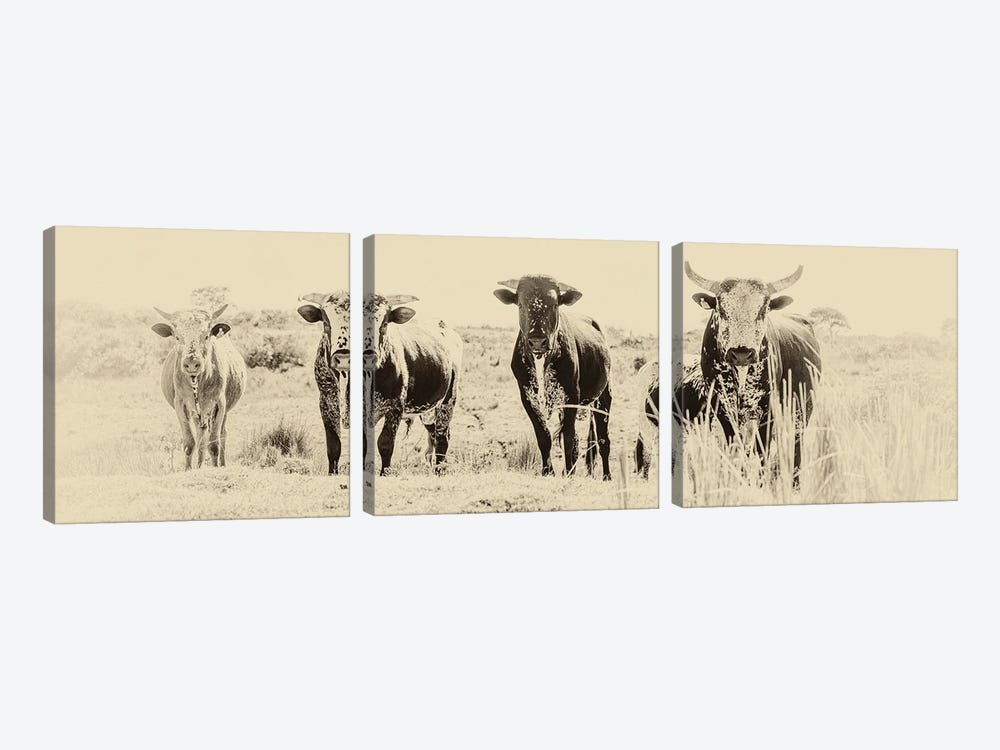 The Gang by Andrew Lever 3-piece Canvas Wall Art